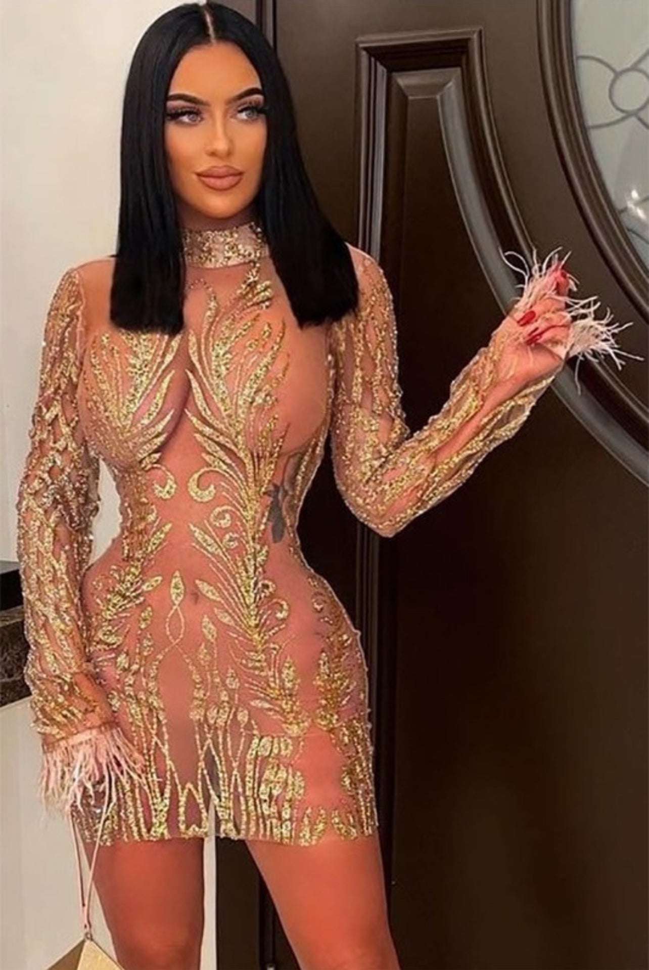 Ferelli feather sheer mini dress