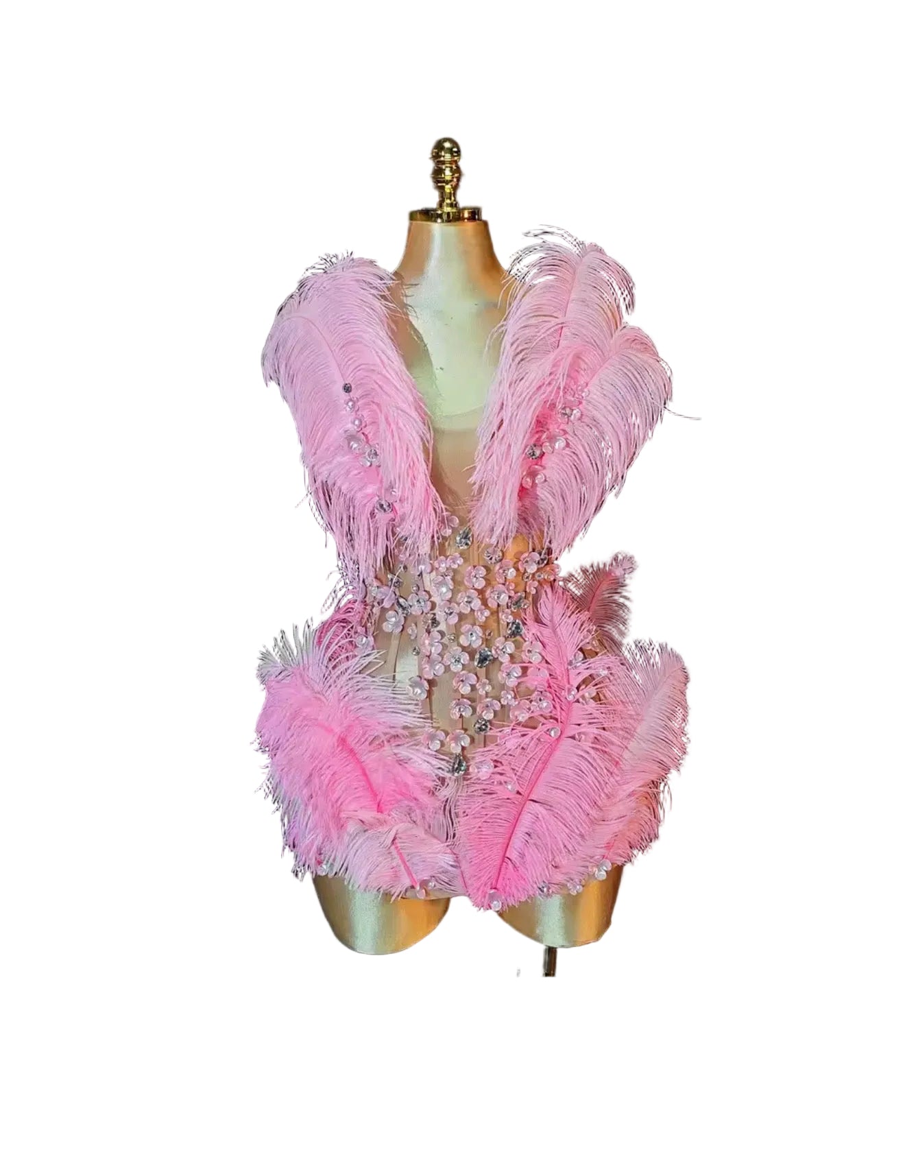 Fouchir petalas feathers glam mini dress