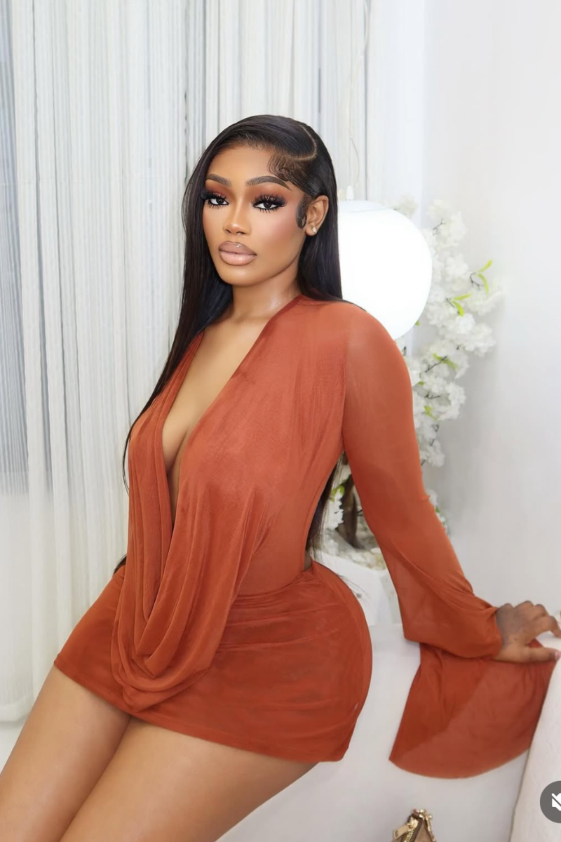 Aurora deep u plunge sheer mini dress
