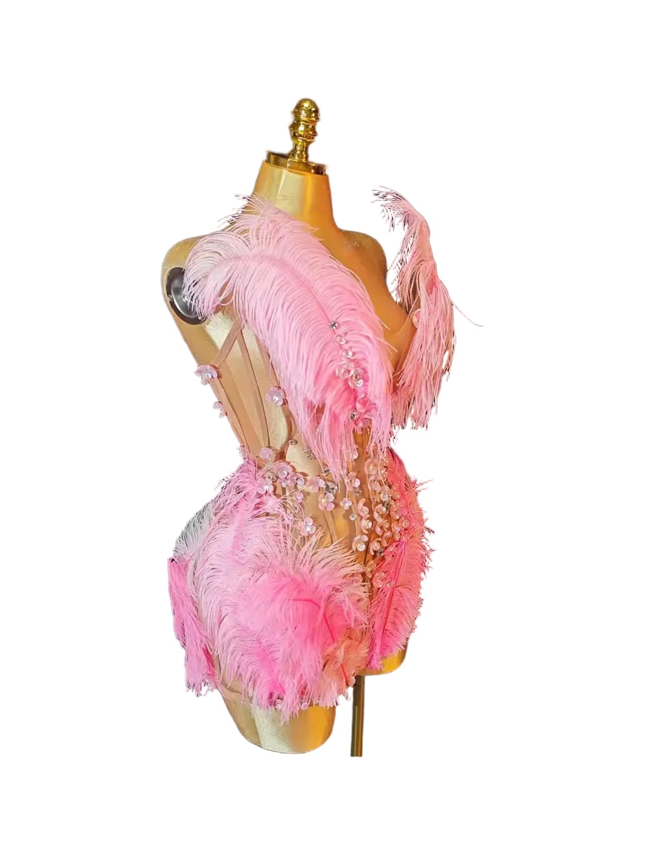 Fouchir petalas feathers glam mini dress