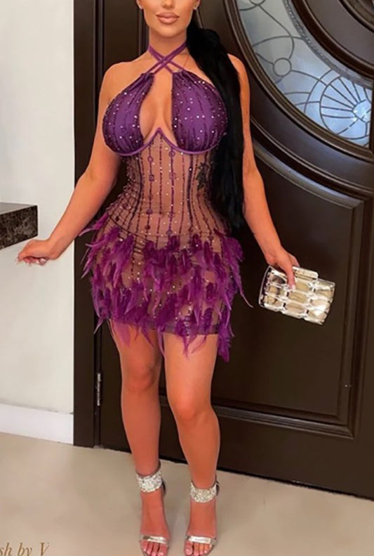 Dreamsia feather mini dress