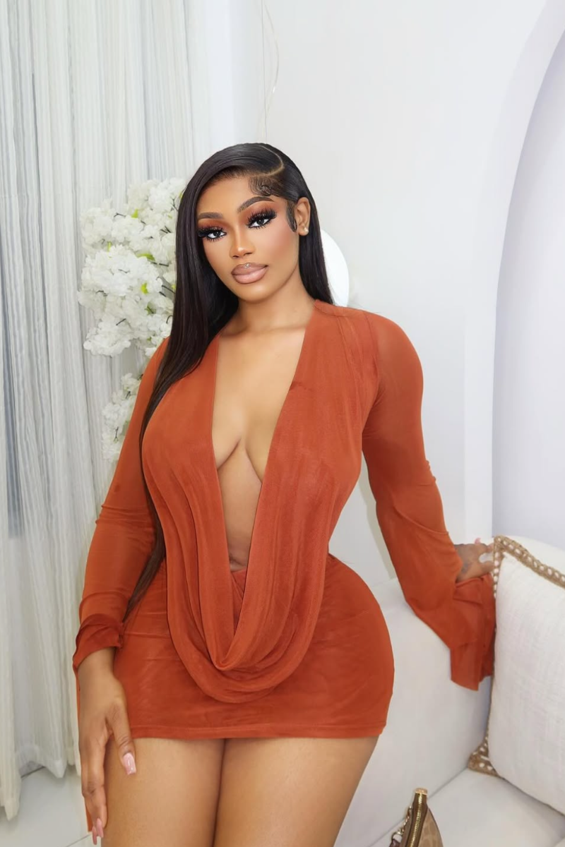 Aurora deep u plunge sheer mini dress
