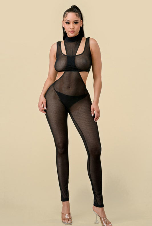 Net with it jumpsuit