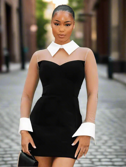 Kendell Collar sheer mini dress