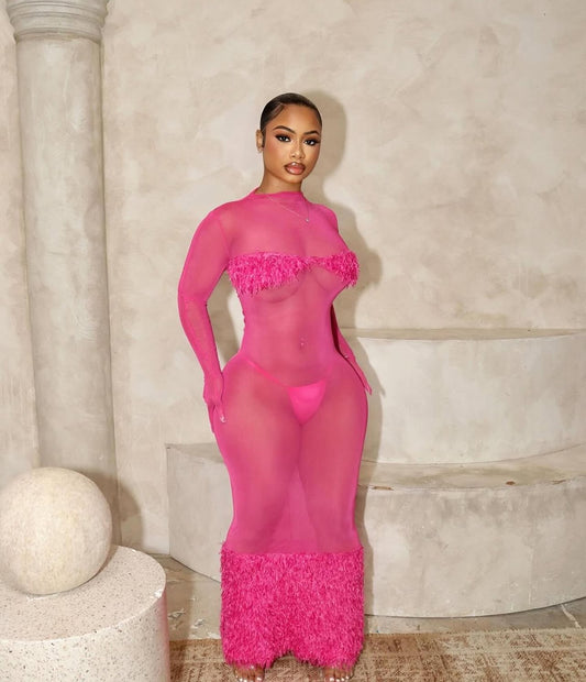 Dacori sheer coverup maxi dress