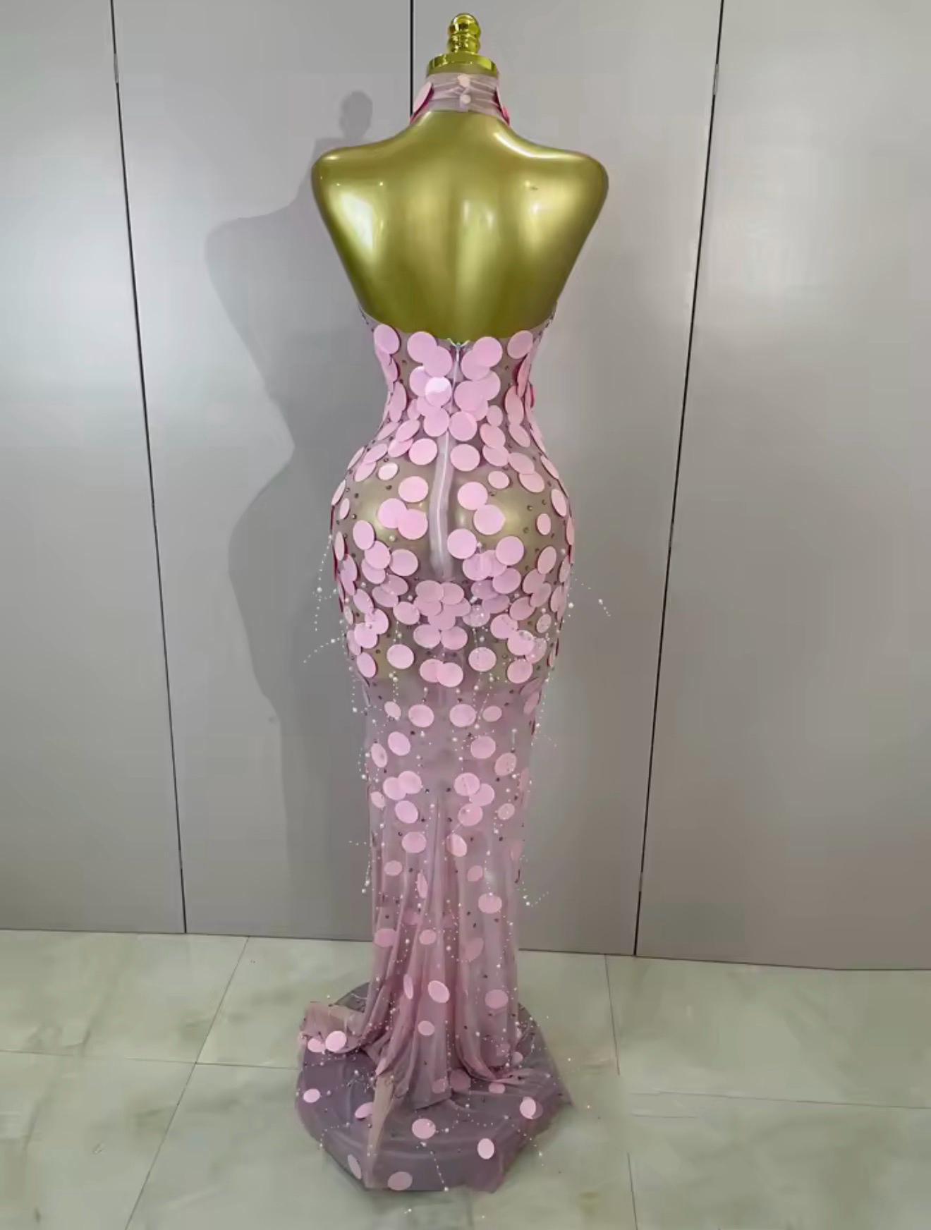 Plirisa discs beaded long dress