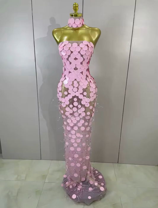 Plirisa discs beaded long dress